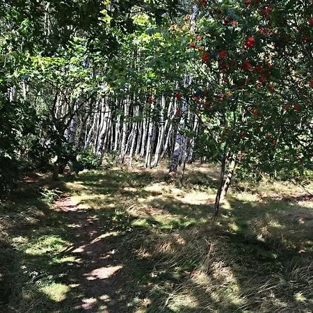 Heckohus Comfortable 펜션 *